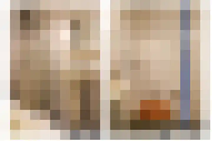 Gossepalen 2 Sneek thumbnail 21