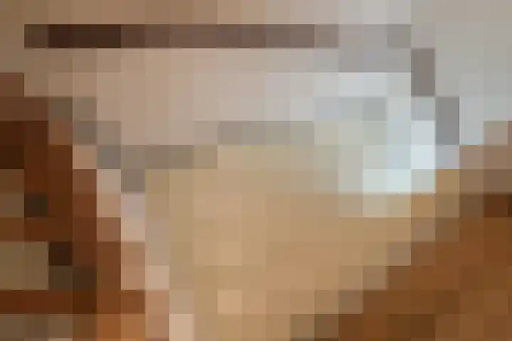 Gossepalen 2 Sneek thumbnail 26