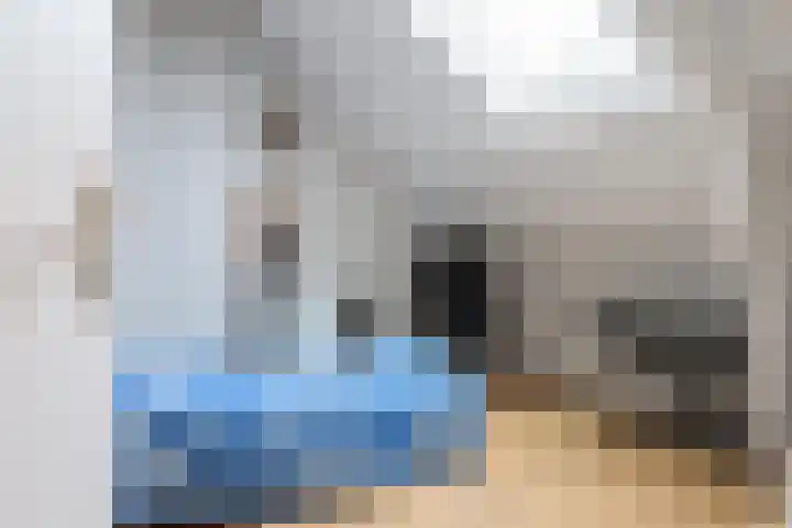 Gossepalen 2 Sneek thumbnail 29