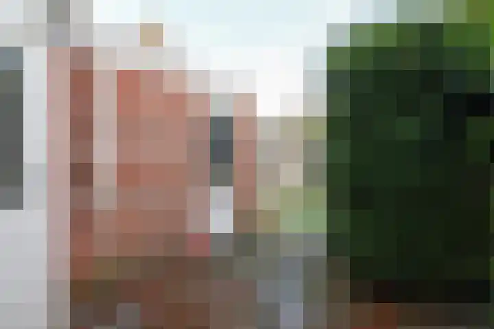 Gossepalen 2 Sneek thumbnail 32