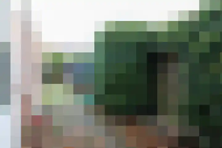 Gossepalen 2 Sneek thumbnail 33