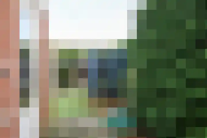 Gossepalen 2 Sneek thumbnail 34