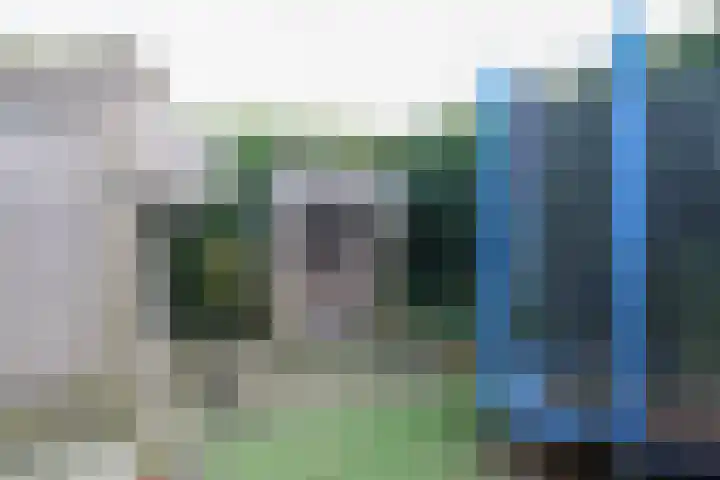 Gossepalen 2 Sneek thumbnail 35
