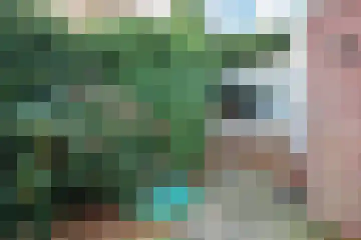 Gossepalen 2 Sneek thumbnail 36