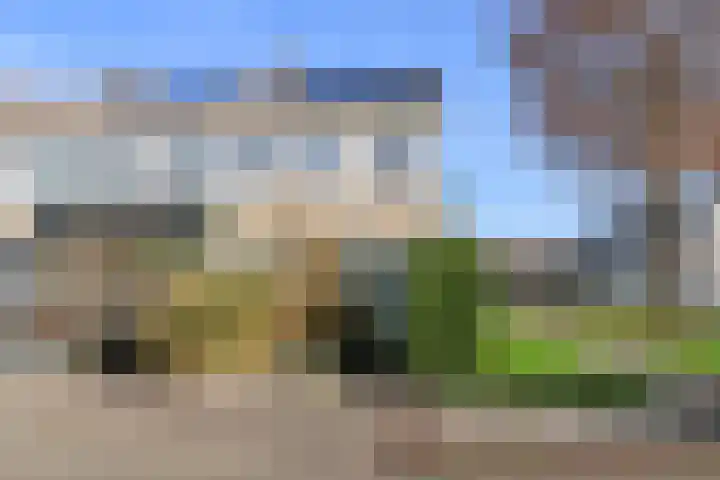 Gossepalen 2 Sneek thumbnail 4