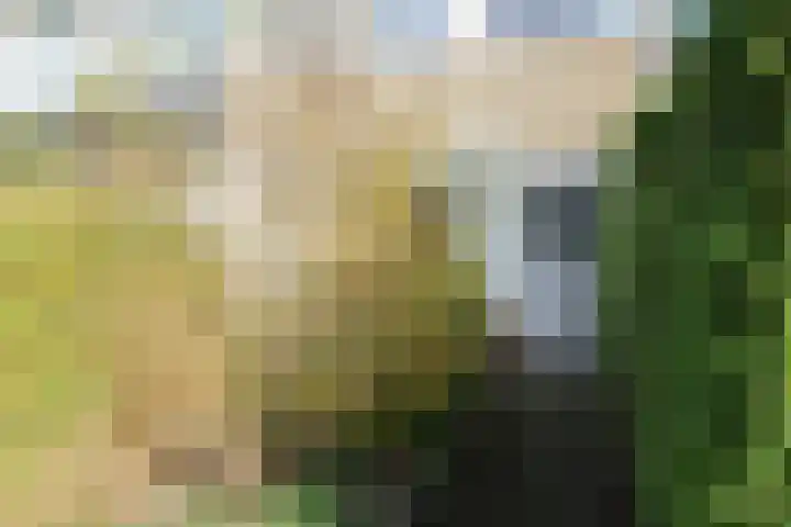 Gossepalen 2 Sneek thumbnail 5