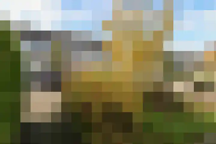 Gossepalen 2 Sneek thumbnail 6