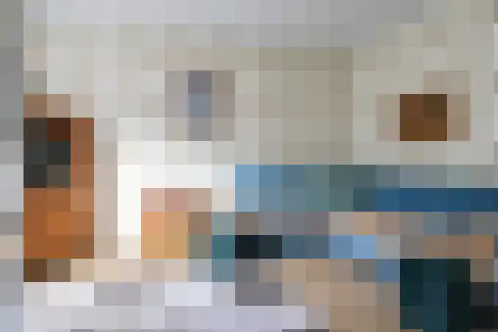 Gossepalen 2 Sneek thumbnail 8