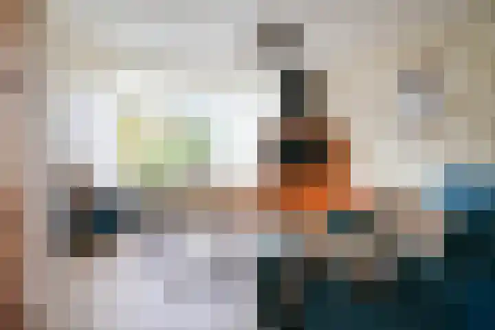 Gossepalen 2 Sneek thumbnail 9
