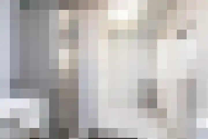 Gossepalen 38 Sneek thumbnail 11