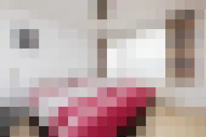 Gossepalen 38 Sneek thumbnail 15