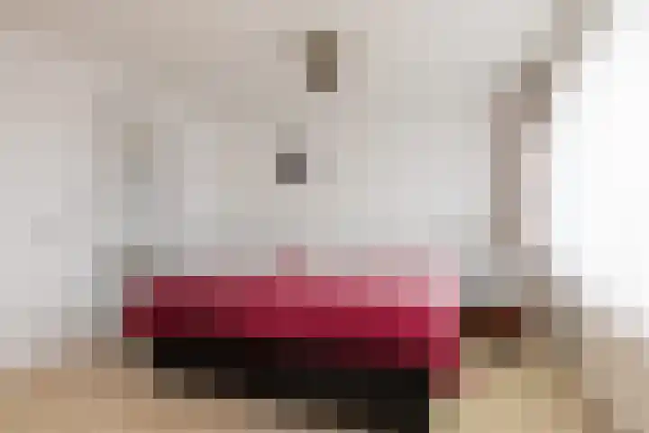 Gossepalen 38 Sneek thumbnail 16