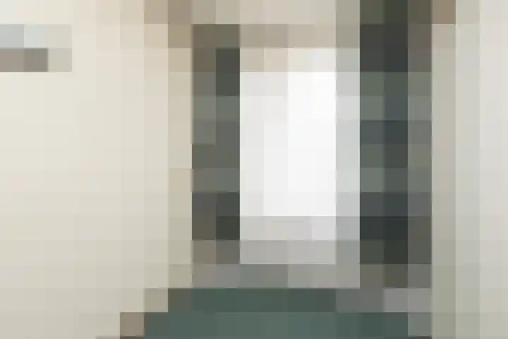 Gossepalen 38 Sneek thumbnail 19