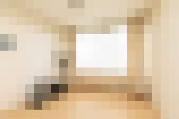Gossepalen 38 Sneek thumbnail 20