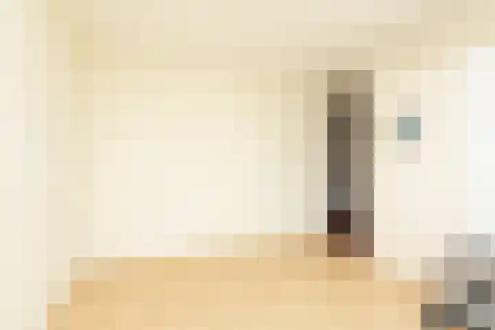 Gossepalen 38 Sneek thumbnail 21
