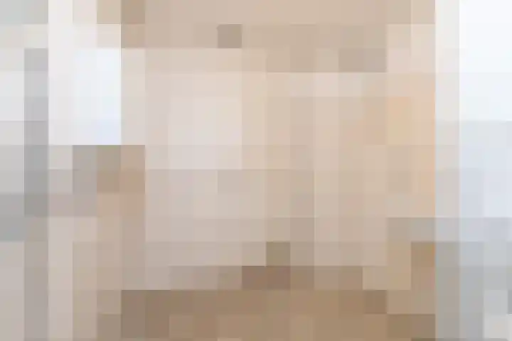 Gossepalen 38 Sneek thumbnail 22