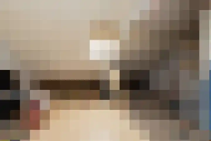 Gossepalen 38 Sneek thumbnail 26