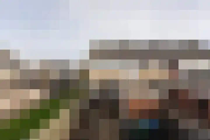 Gossepalen 38 Sneek thumbnail 31