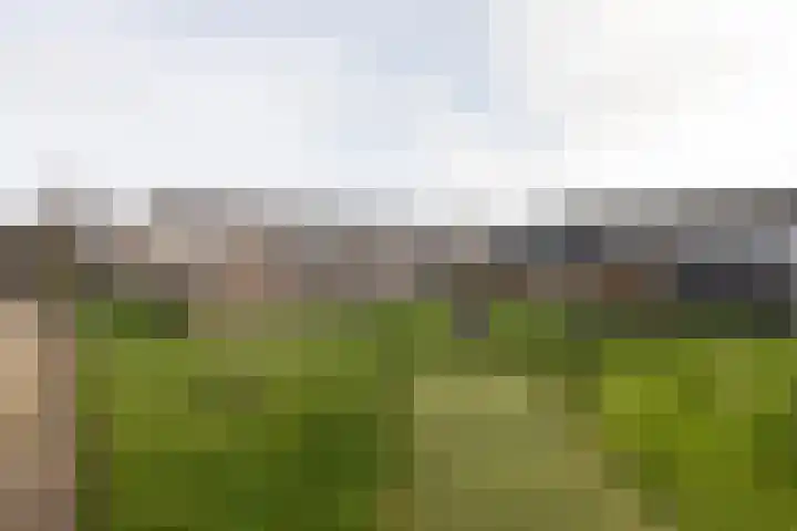 Gossepalen 38 Sneek thumbnail 33