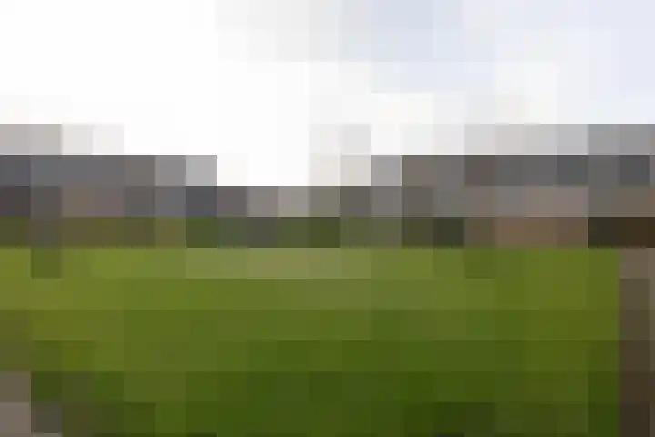 Gossepalen 38 Sneek thumbnail 34