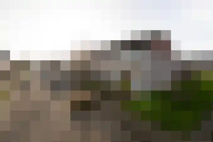Gossepalen 38 Sneek thumbnail 35