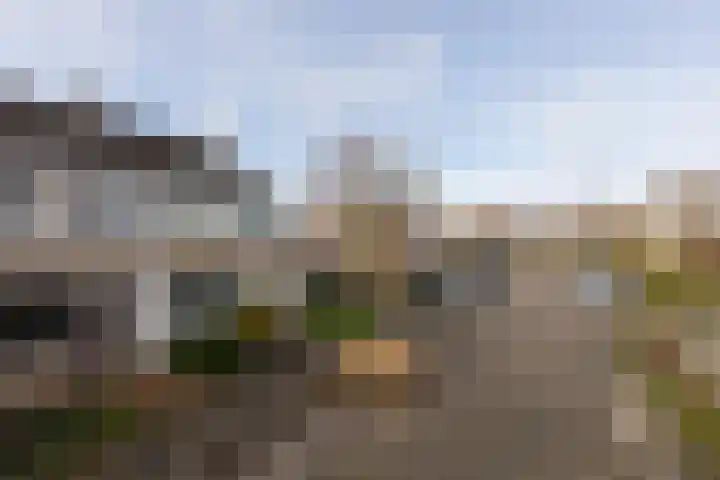 Gossepalen 38 Sneek thumbnail 36