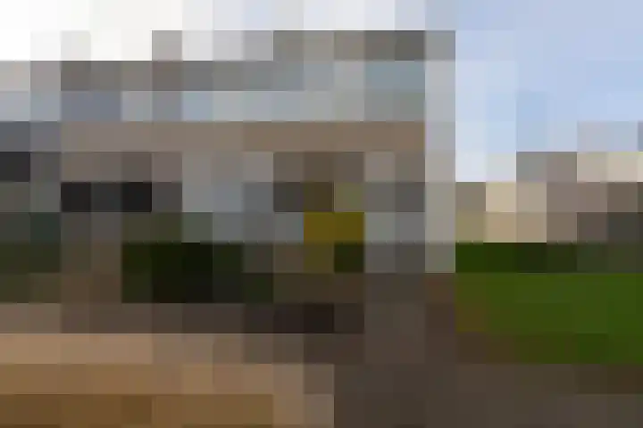 Gossepalen 38 Sneek thumbnail 37