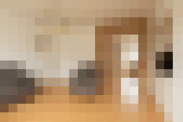 Gossepalen 38 Sneek thumbnail 5