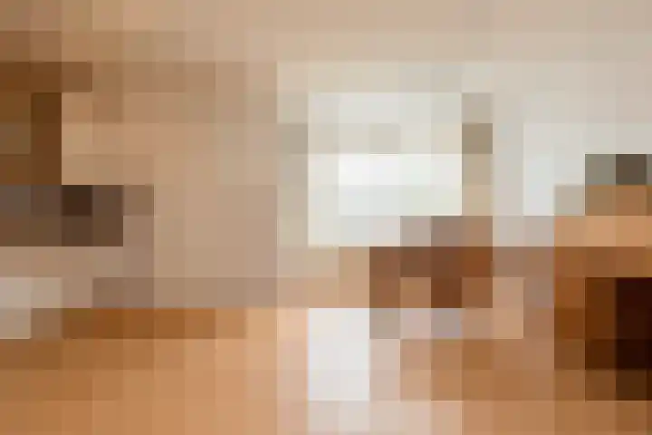 Gossepalen 38 Sneek thumbnail 6
