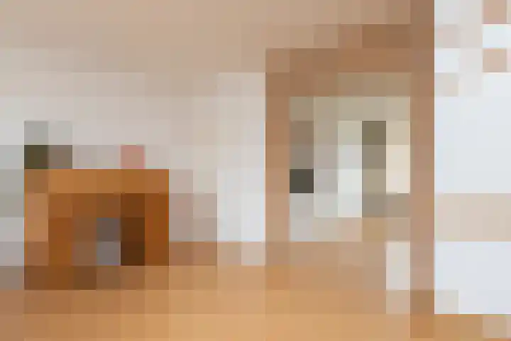 Gossepalen 38 Sneek thumbnail 8
