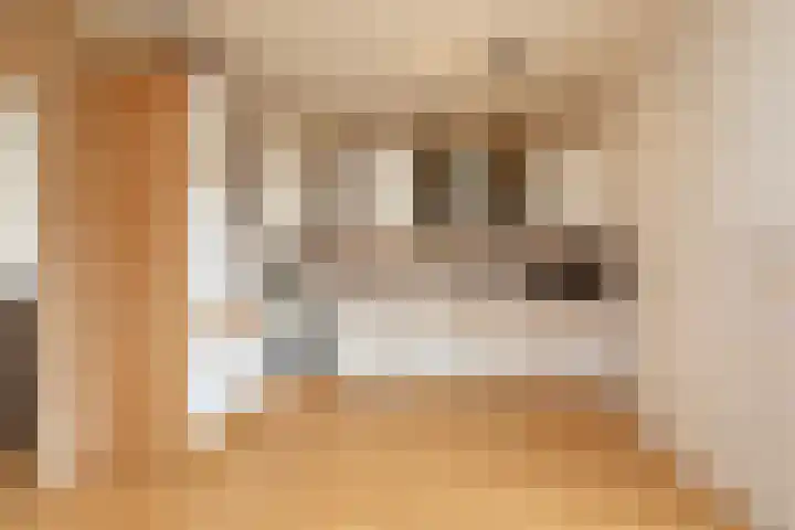 Gossepalen 38 Sneek thumbnail 9