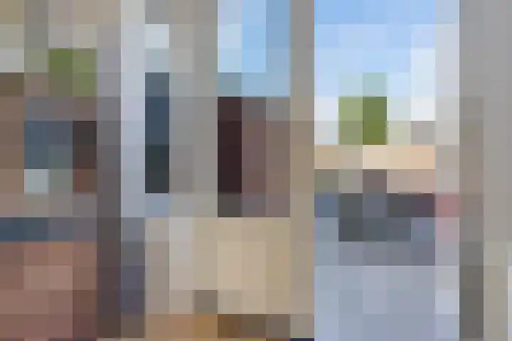Gossepalen 44 Sneek thumbnail 11