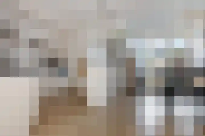 Gossepalen 44 Sneek thumbnail 12