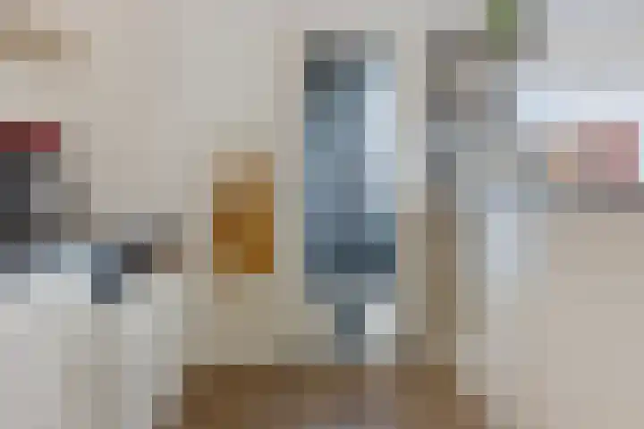 Gossepalen 44 Sneek thumbnail 14