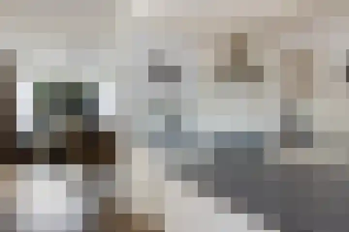 Gossepalen 44 Sneek thumbnail 15