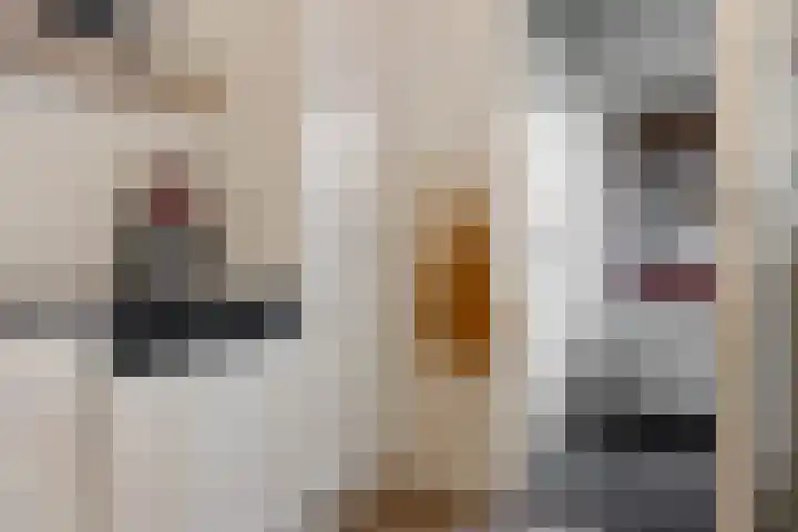 Gossepalen 44 Sneek thumbnail 16