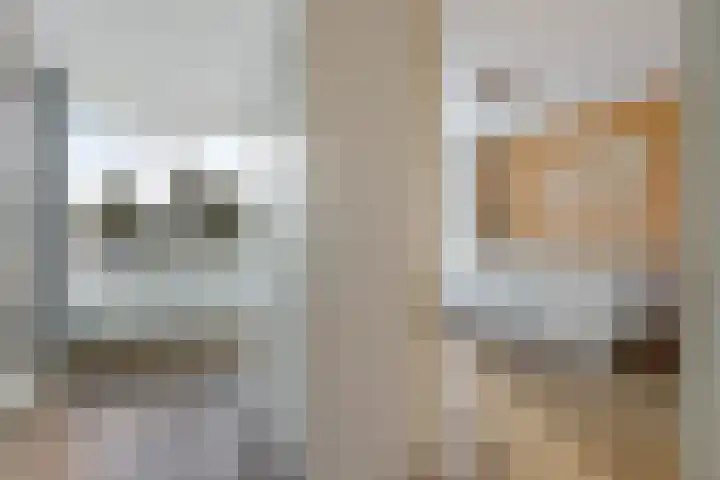 Gossepalen 44 Sneek thumbnail 18