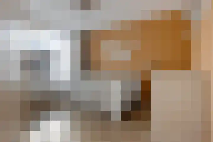 Gossepalen 44 Sneek thumbnail 19