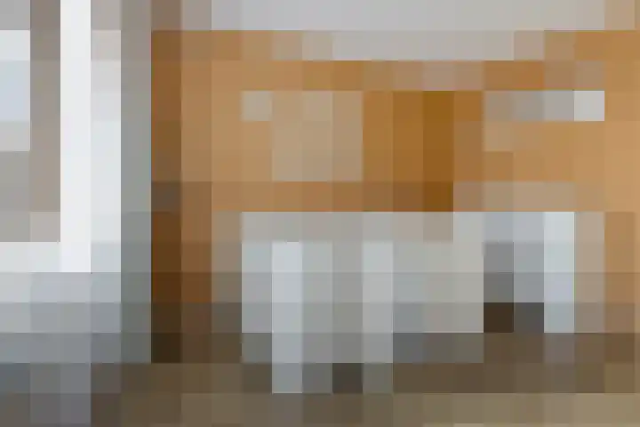 Gossepalen 44 Sneek thumbnail 20