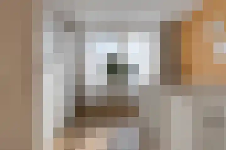 Gossepalen 44 Sneek thumbnail 21
