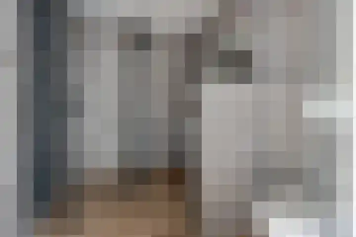 Gossepalen 44 Sneek thumbnail 22