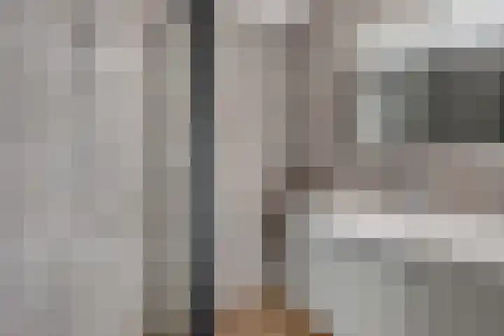 Gossepalen 44 Sneek thumbnail 23