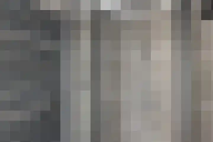 Gossepalen 44 Sneek thumbnail 24