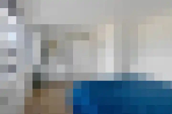 Gossepalen 44 Sneek thumbnail 27