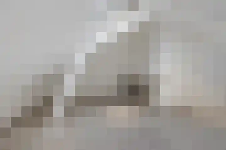Gossepalen 44 Sneek thumbnail 30