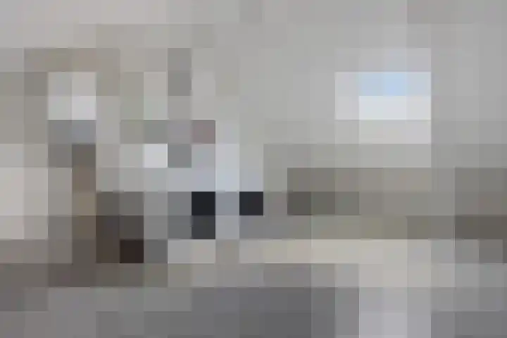 Gossepalen 44 Sneek thumbnail 31