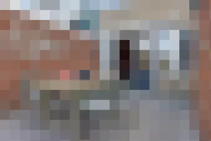 Gossepalen 44 Sneek thumbnail 33