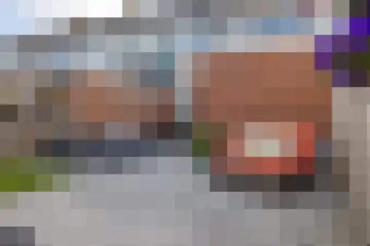 Gossepalen 44 Sneek thumbnail 35