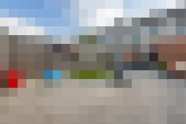Gossepalen 44 Sneek thumbnail 36