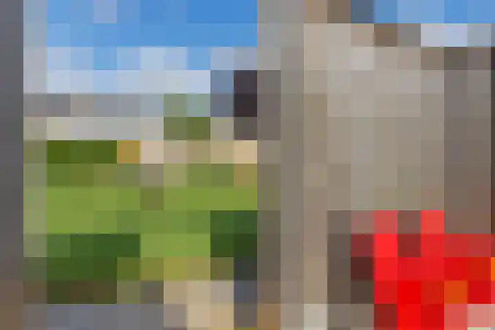 Gossepalen 44 Sneek thumbnail 37